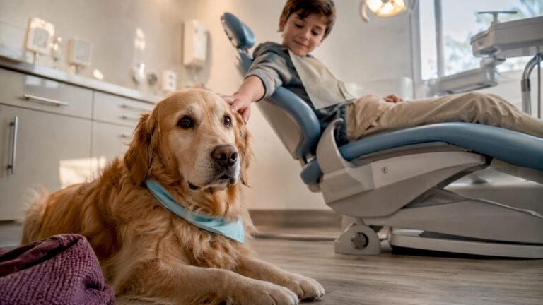 Therapy Dogs Lower Dental Anxiety: Clinic Evidence and How to Request